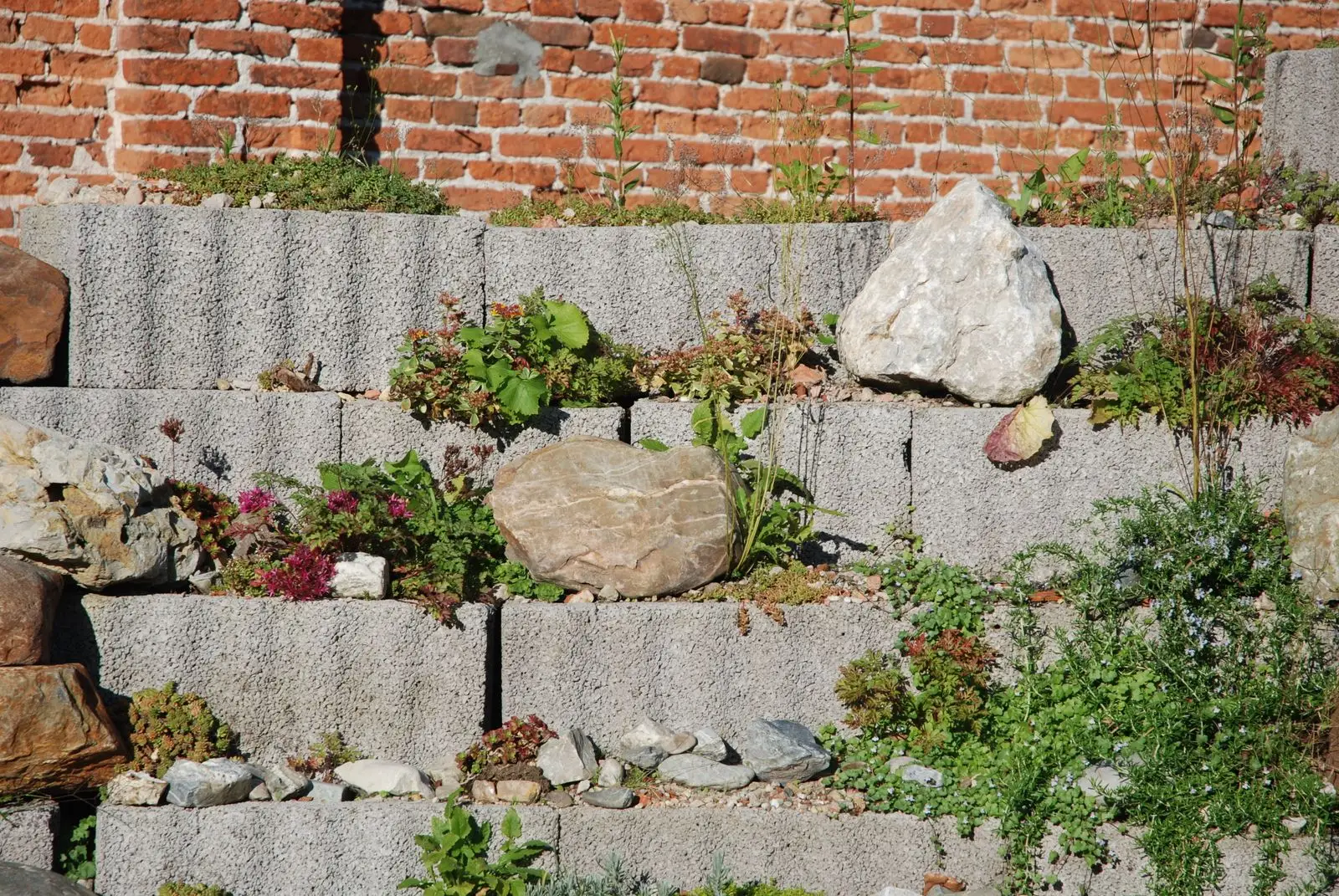 Stepped stone retaining wall holding a terraced bed